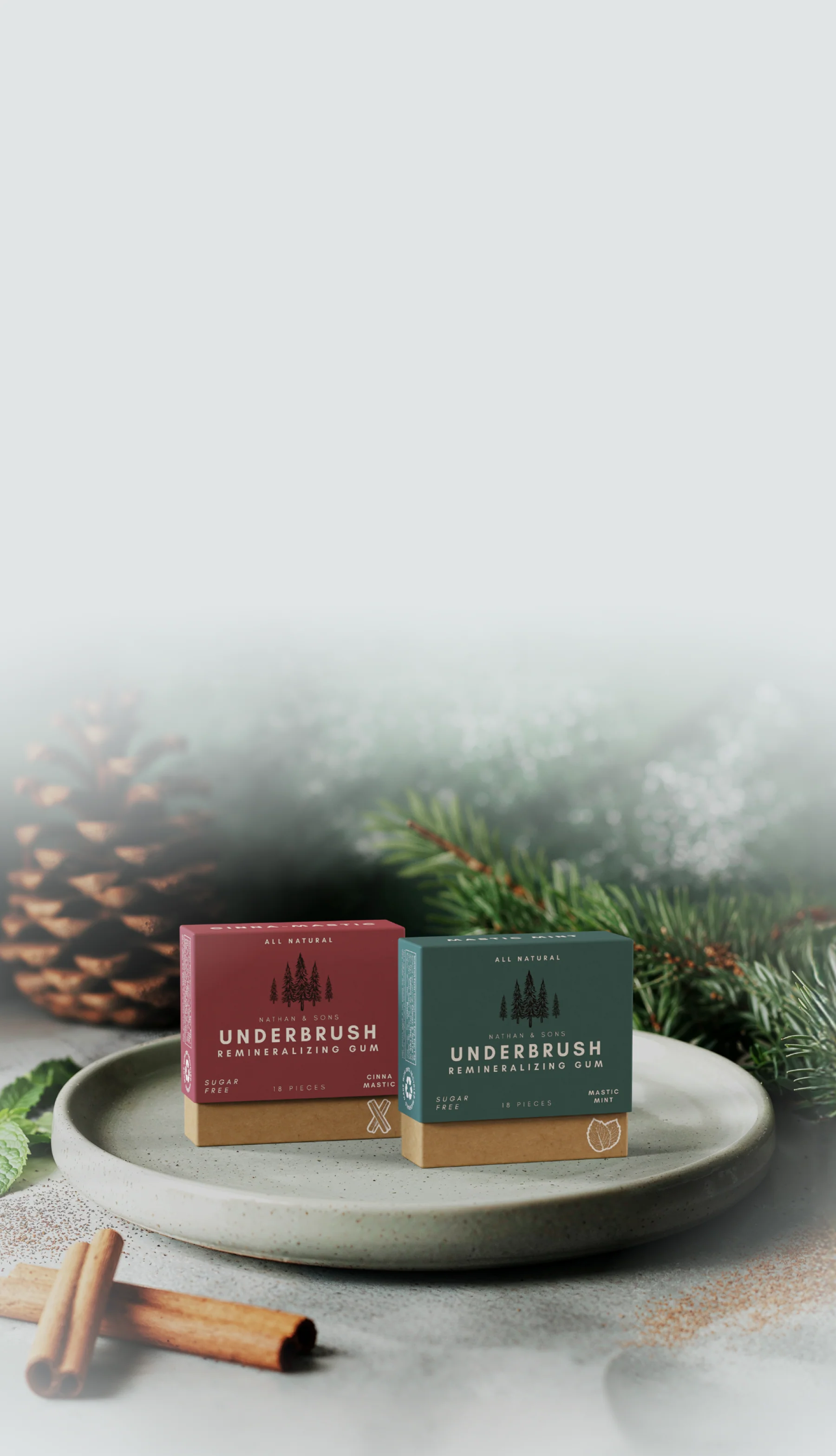 Remineralizing Gum-4 Pack